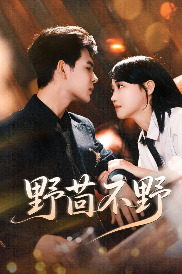 野茴不野67集靳旺龚芳妮主演全集未删减超清,免费在线观看,百度夸克网盘资源下载 第1张 野茴不野67集靳旺龚芳妮主演全集未删减超清,免费在线观看,百度夸克网盘资源下载 第1张