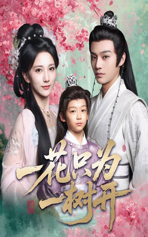 一花只为一树开柳甯高明君主演54集全集未删减版免费在线观看,百度网盘夸克网盘最新完整版资源分享下载 第1张 一花只为一树开柳甯高明君主演54集全集未删减版免费在线观看,百度网盘夸克网盘最新完整版资源分享下载 第1张