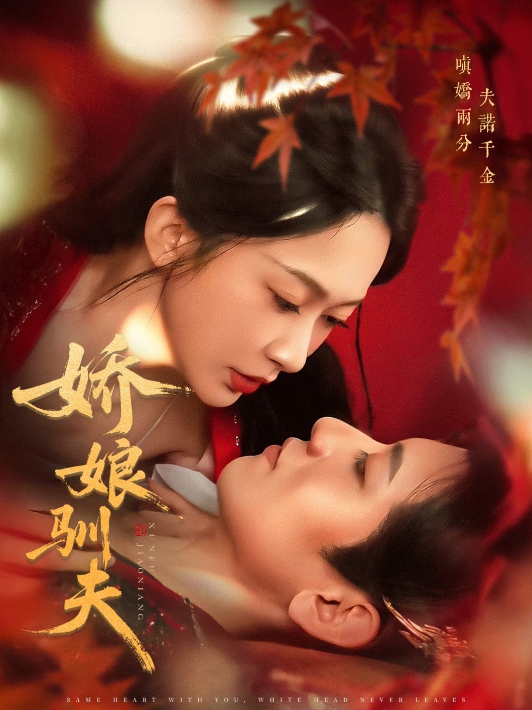 热门短剧娇娘驯夫82集全集 王金宝&迟宁宁主演 免费无广告在线观看 未删减版 百度网盘夸克网盘资源下载 第1张 热门短剧娇娘驯夫82集全集 王金宝&迟宁宁主演 免费无广告在线观看 未删减版 百度网盘夸克网盘资源下载 第1张