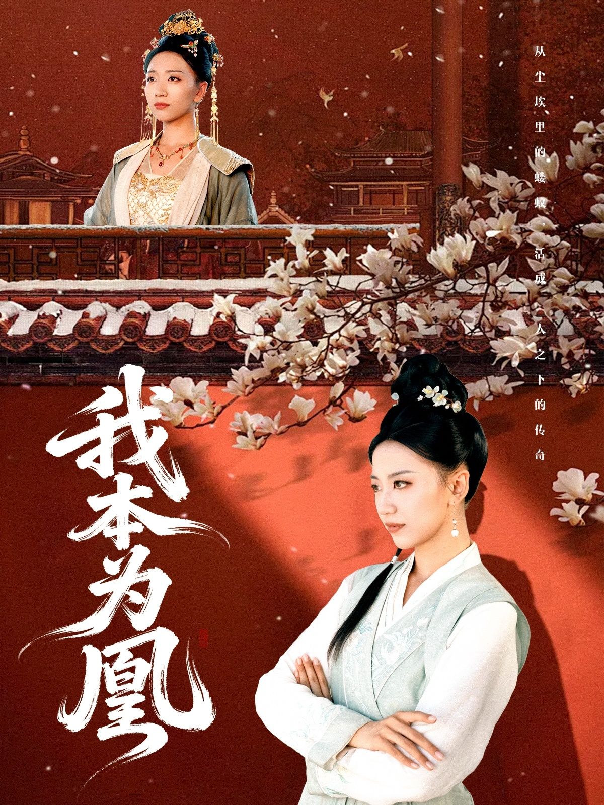 热门短剧我本为凰82集傅宇航刘继徽主演,全集完整版超清未删减免费在线观看,百度网盘夸克网盘免费资源分享下载 第1张 热门短剧我本为凰82集傅宇航刘继徽主演,全集完整版超清未删减免费在线观看,百度网盘夸克网盘免费资源分享下载 第1张