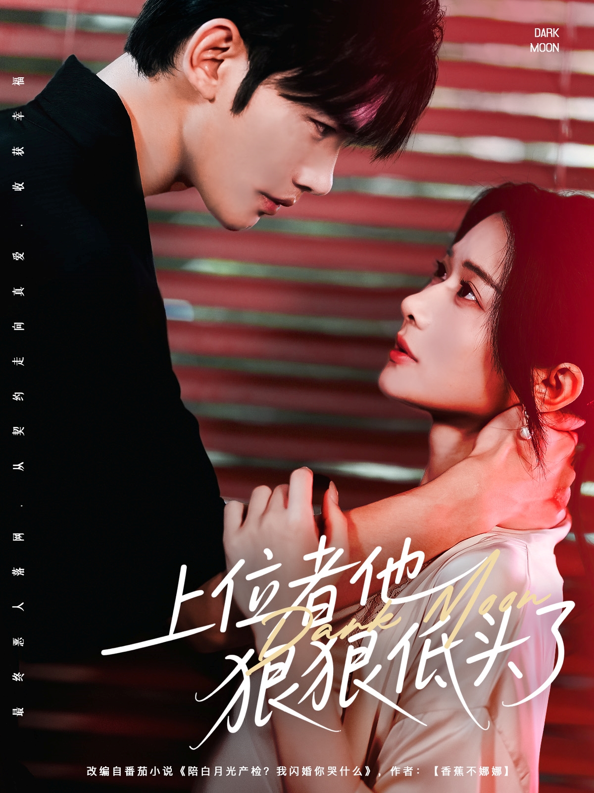 短剧上位者他狠狠低头了全集免费在线观看,高清画质,大结局震撼揭晓!