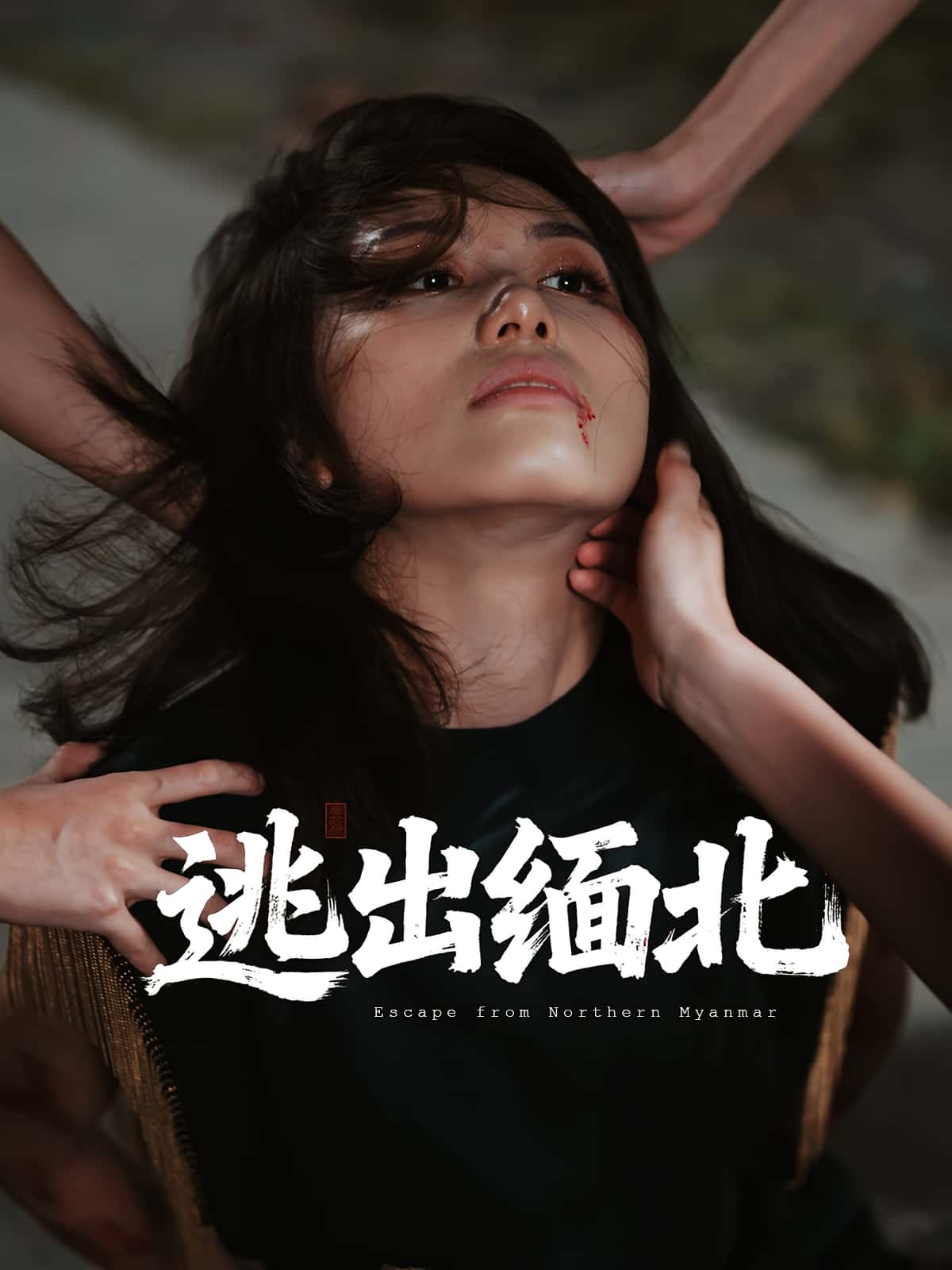 热门短剧逃出缅北62集全集完整版未删减 刘振安汪芷萱主演 免费在线观看播放 百度网盘夸克网盘免费资源下载分享 第1张 热门短剧逃出缅北62集全集完整版未删减 刘振安汪芷萱主演 免费在线观看播放 百度网盘夸克网盘免费资源下载分享 第1张