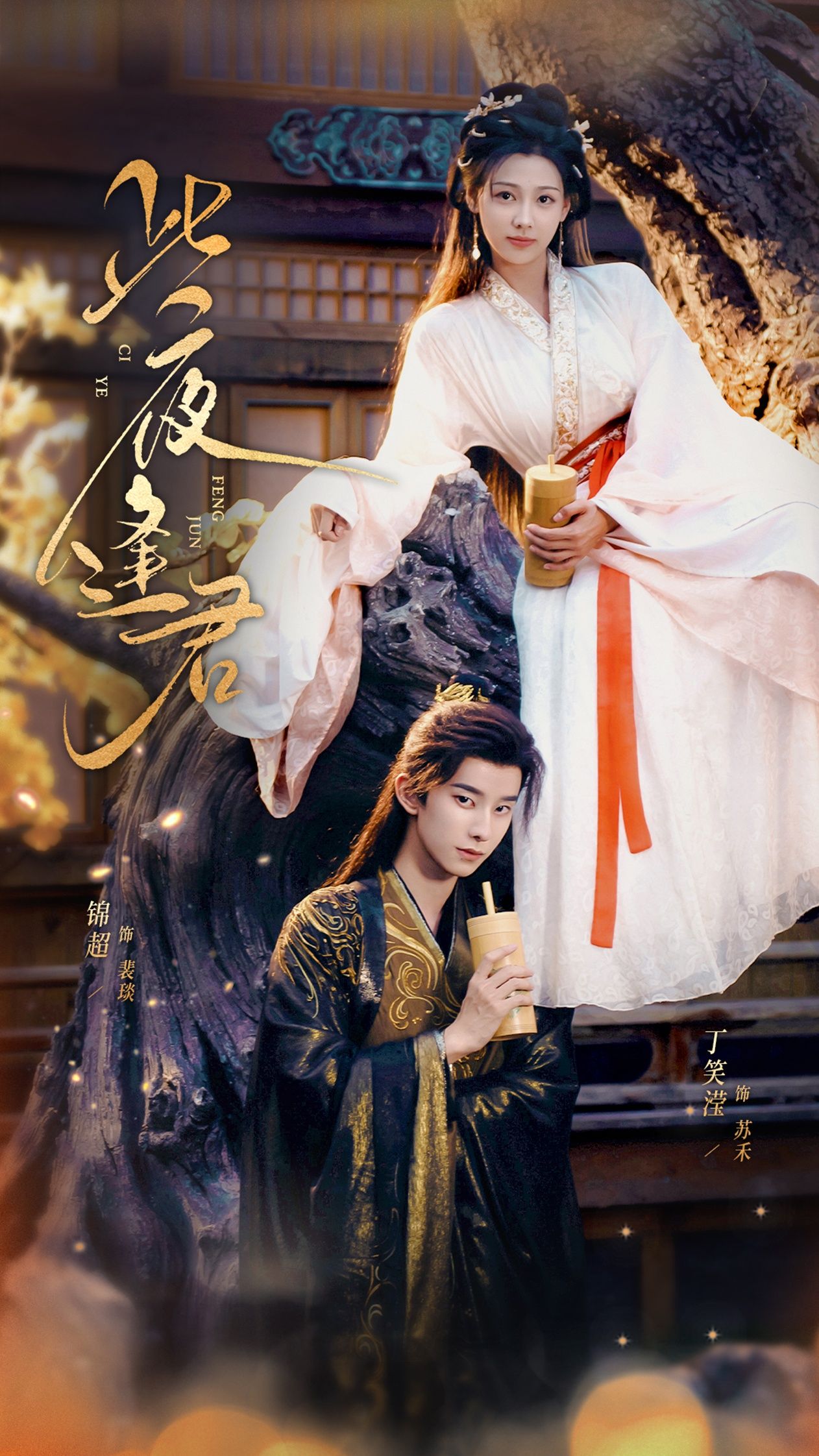 热门短剧此夜逢君76集锦超丁笑滢主演 全集完整版免费无水印在线观看 未删减版 百度网盘夸克网盘资源分享下载