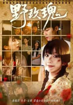 野玫瑰热门短剧82集全集完整版|钊瑞象韵洁主演|免费在线观看未删减版|百度网盘夸克网盘资源下载  第1张