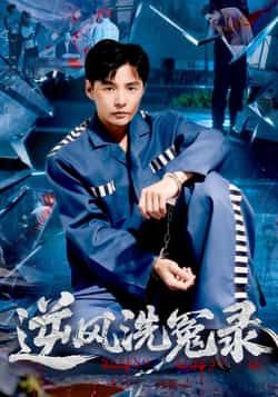 逆风洗冤录全集完整版免费播放在线观看未删减版，百度网盘/夸克网盘免费资源下载  第1张