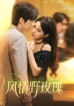 热门短剧风情野玫瑰全集完整版免费无广告在线观看未删减版，百度网盘夸克网盘资源分享下载