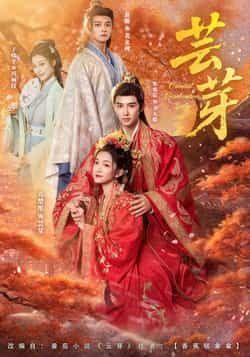 热门短剧芸芽全集完整版免费在线观看未删减版,无需注册播放,百度网盘夸克网盘免费资源分享下载 第1张 热门短剧芸芽全集完整版免费在线观看未删减版,无需注册播放,百度网盘夸克网盘免费资源分享下载 第1张