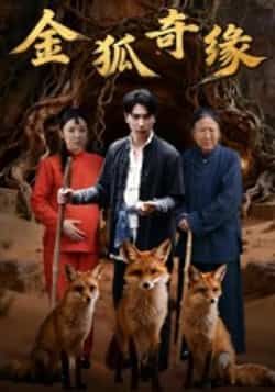 热门短剧金狐奇缘全集完整版免费无水印在线观看,未删减版资源分享,百度网盘夸克网盘免费下载播放 第1张 热门短剧金狐奇缘全集完整版免费无水印在线观看,未删减版资源分享,百度网盘夸克网盘免费下载播放 第1张