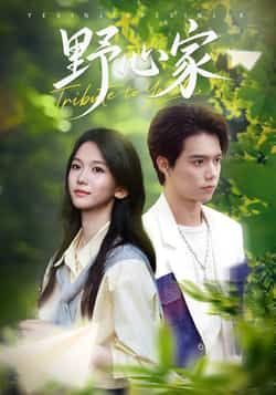 热门短剧野心家全集完整版免费无水印在线观看,未删减版资源,百度网盘夸克网盘免费分享下载 第1张 热门短剧野心家全集完整版免费无水印在线观看,未删减版资源,百度网盘夸克网盘免费分享下载 第1张