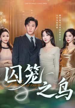 热门短剧囚笼之鸟全集完整版免费在线观看未删减版,百度网盘夸克网盘资源分享下载