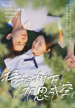 热门短剧梧桐树下，相思成空全集未删减版免费在线观看，百度网盘夸克网盘资源分享下载