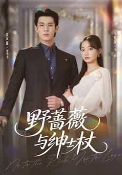 热门短剧《野蔷薇与绅士杖》 全集完整版免费无卡顿在线观看播放未删减版资源，短剧百度网盘夸克网盘免费资源分享下载