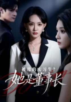 热门短剧被甩的实习生?她是董事长!全集完整版未删减免费在线观看,百度网盘夸克网盘资源分享下载