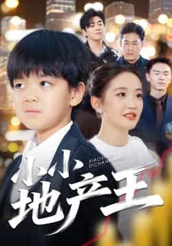 热门短剧小小地产王全集完整版更新完毕,免费在线观看未删减版,百度网盘夸克网盘免费资源分享下载