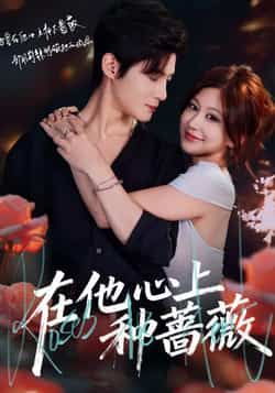 热门短剧在他心上种蔷薇全集完整版免费在线观看未删减版，百度网盘夸克网盘免费资源分享下载，热门短剧在线播放未删减资源