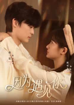 热门短剧因为遇见你全集完整版免费在线观看未删减版,百度网盘夸克网盘资源分享下载,热门短剧在线播放全集资源