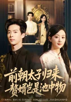 热门短剧前朝太子归来,赘婿岂是池中物全集完整版免费在线观看未删减版,百度网盘夸克网盘资源分享下载